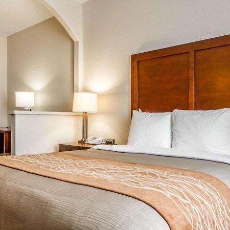 Comfort Inn & Suites Oakland Airport 外观 照片