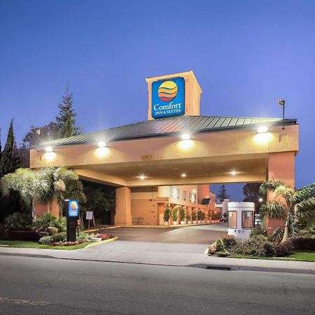 Comfort Inn & Suites Oakland Airport 外观 照片
