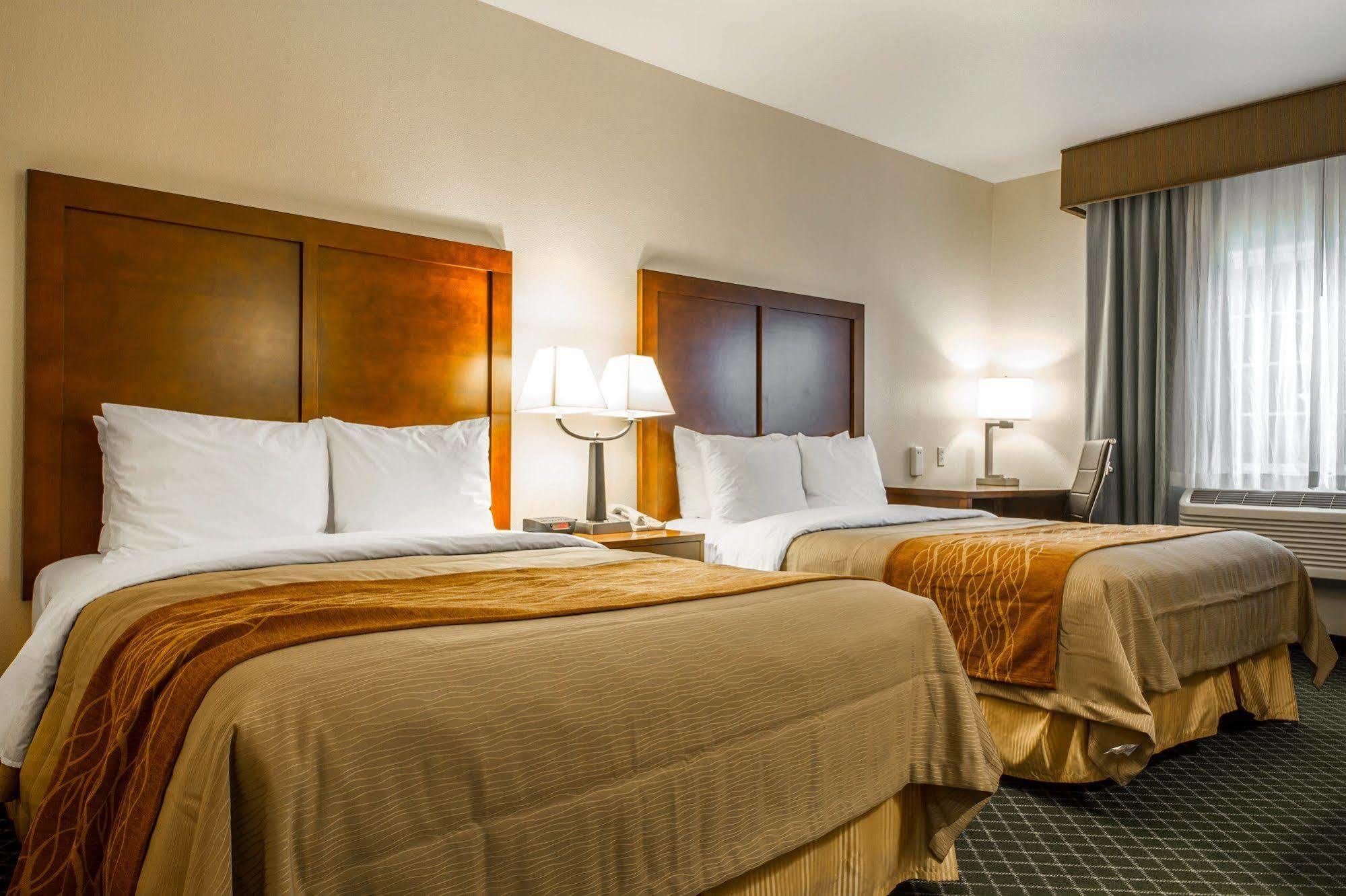 Comfort Inn & Suites Oakland Airport 外观 照片