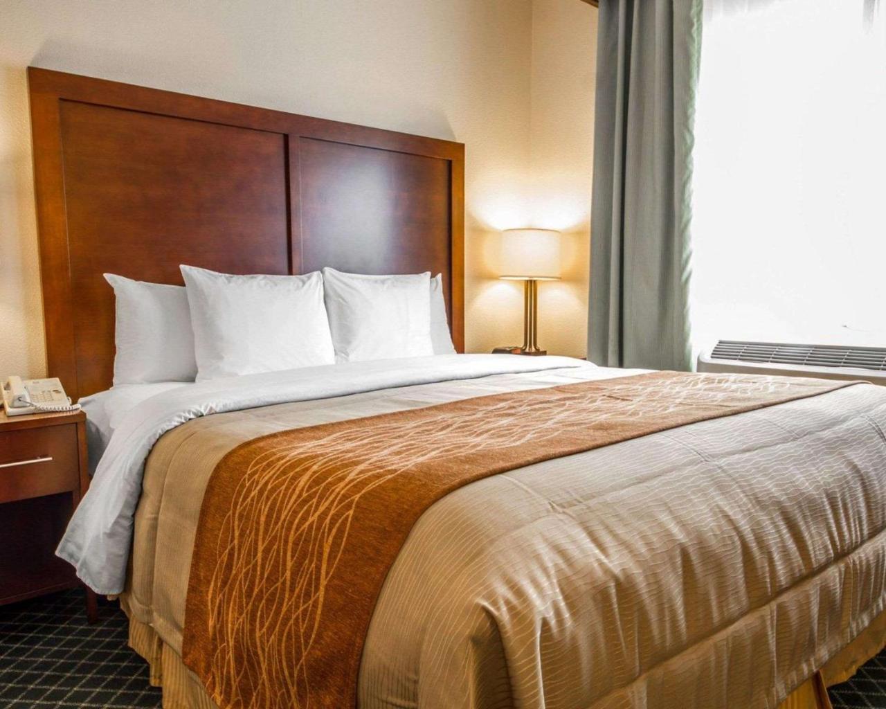 Comfort Inn & Suites Oakland Airport 外观 照片