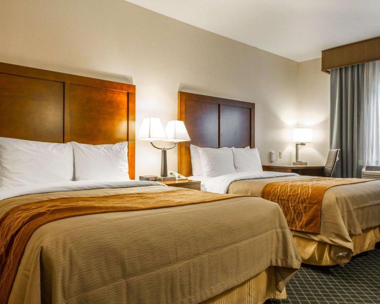 Comfort Inn & Suites Oakland Airport 外观 照片