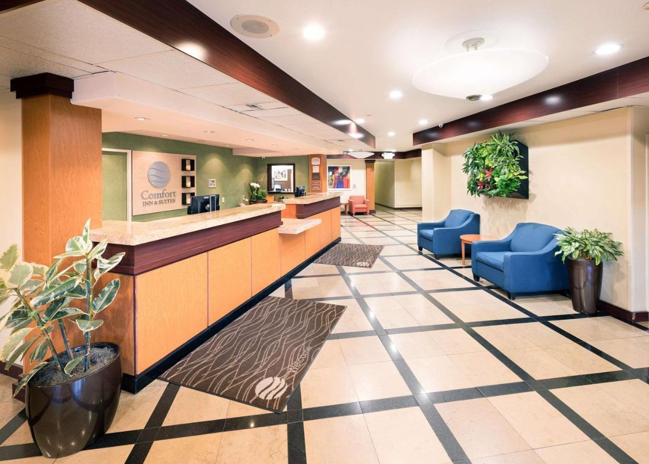 Comfort Inn & Suites Oakland Airport 外观 照片