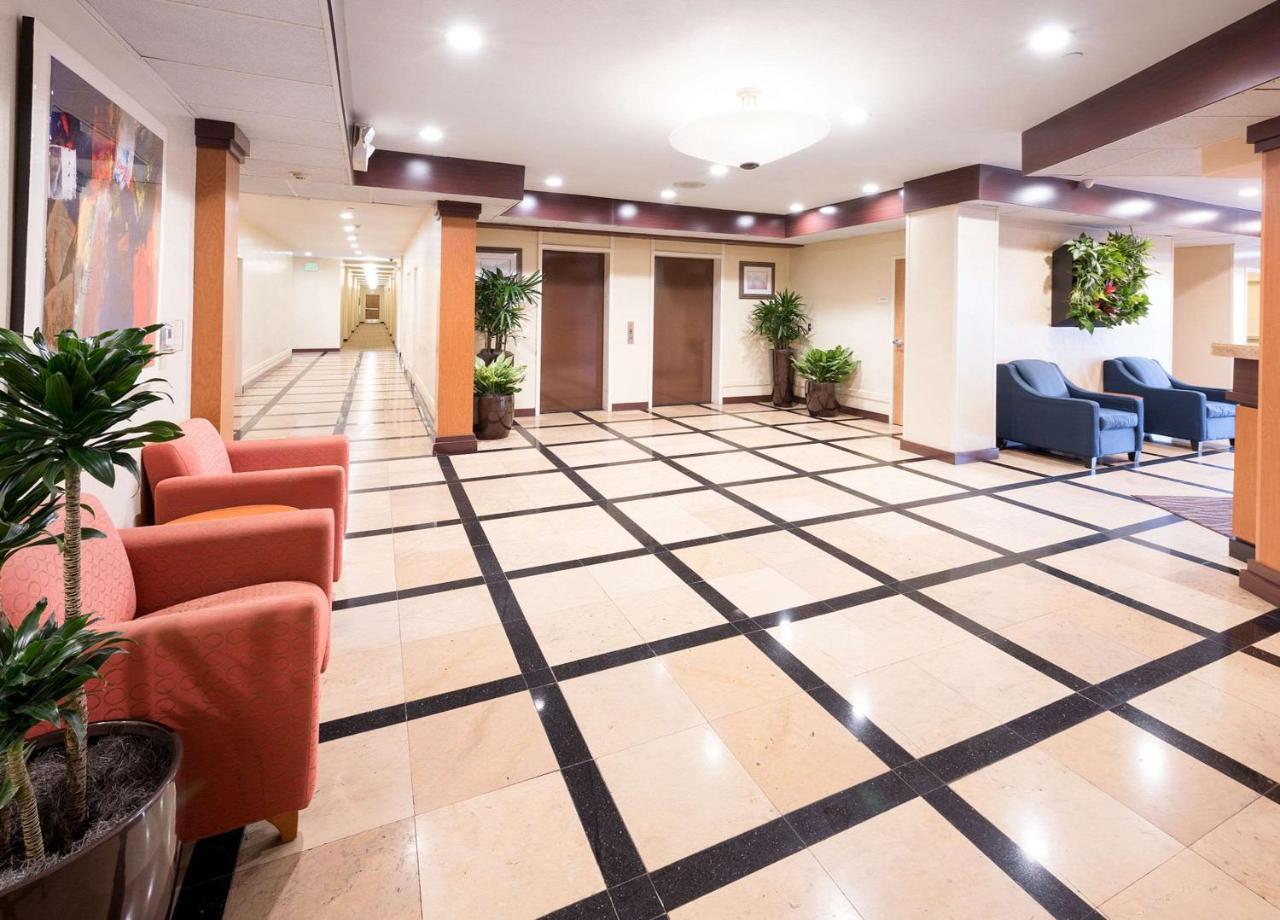 Comfort Inn & Suites Oakland Airport 外观 照片